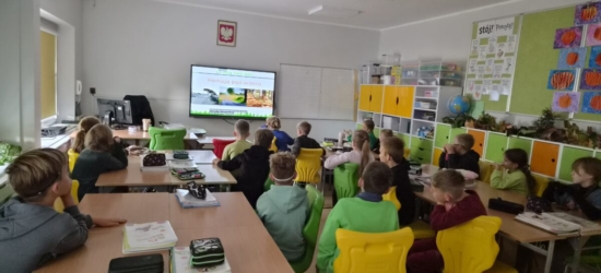 Święto Drzewa – uczymy się troski o przyrodę